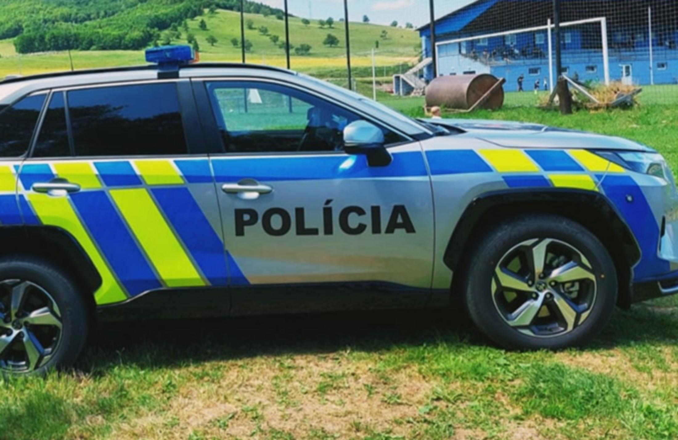 policijos patrulis